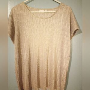 Kim Rodgers short sleeve silky nude blouse